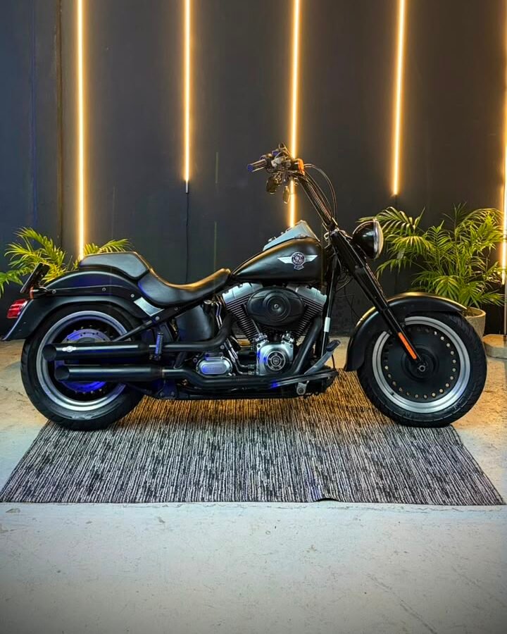 harley-davidson-fat-boy-2013-08
